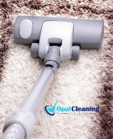 Opal carpet cleaning Adelaide image 3